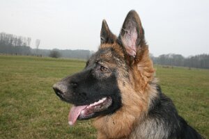 IMG_0046