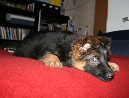 IMG_0130